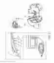 Fig. 20 - Method and apparatus for drug delivery to a target site