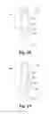 Fig. 09 - Cell injection needle