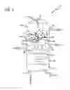 Fig. 02 - Adipose tissue combinations, devices, and uses thereof