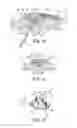 Fig. 06 - Socketed portal anchors and methods of using same