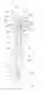 Fig. 01 - Autoinjector