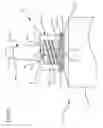 Fig. 09 - Syringe with disinfecting tip feature