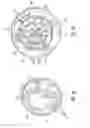 Fig. 22 - Sealing multiple surgical instruments