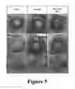 Fig. 06 - Clay composites and their applications