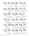 Fig. 04 - Disposable absorbent article