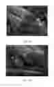 Fig. 11 - Absorbent articles with nonwoven substrates having fibrils