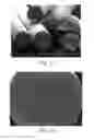 Fig. 23 - Absorbent articles with nonwoven substrates having fibrils