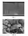 Fig. 02 - Composition for forming a porous absorbent structure