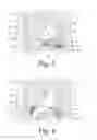 Fig. 04 - Device for selectively reducing absorption of unhealthy food