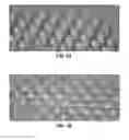 Fig. 02 - Microarray for delivery of therapeutic agent and methods of use