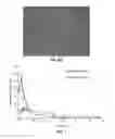 Fig. 07 - Microarray for delivery of therapeutic agent and methods of use