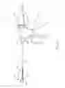 Fig. 02 - Tissue clamping features of surgical instrument end effector