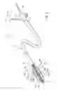 Fig. 02 - Feedback systems and methods utilizing two or more sites along denervation catheter