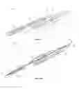 Fig. 02 - Combination electrosurgical device