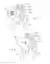 Fig. 07 - SYSTEMS AND METHODS FOR IMPLANTING BONE GRAFT AND IMPLANT