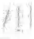 Fig. 07 - Iris expander