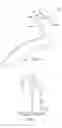 Fig. 06 - Torque-based catheter articulation