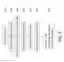 Fig. 08 - System and method for determining the position of a hair tail on a body surface