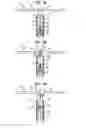 Fig. 10 - Mitral valve leaflet clip