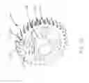 Fig. 12 - ROTATIONAL ATHERECTOMY DEVICE WITH BIASING CLUTCH
