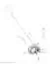 Fig. 13 - ROTATIONAL ATHERECTOMY DEVICE WITH BIASING CLUTCH