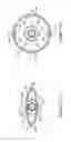 Fig. 09 - Subintimal re-entry catheter with shape controlled balloon