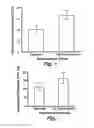 Fig. 04 - Methods and devices to reduce the likelihood of injury from concussive or blast forces