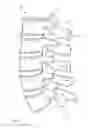 Fig. 02 - Apparatus for bone stabilization and distraction and methods of use