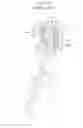 Fig. 05 - Locking compression members for use with bone anchor assemblies and methods