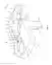 Fig. 02 - SPINAL IMPLANT SYSTEM AND METHOD