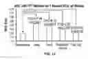 Fig. 09 - Windowing for identifying shock outcome