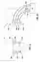 Fig. 02 - Functional electrical stimulation method, use and apparatus for mood alteration