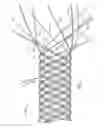 Fig. 02 - Secured strand end devices