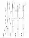 Fig. 08 - Hemostasis valve and delivery systems