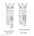 Fig. 79 - Hemostasis valve and delivery systems