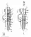 Fig. 06 - DELIVERY SYSTEM FOR EXPANDABLE STENTS