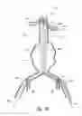 Fig. 10 - Endograft device delivery systems and associated methods