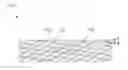 Fig. 01 - Bioabsorbable stent with hydrothermal conversion film and coating