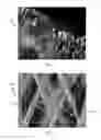 Fig. 02 - Coated medical devices and methods of making and using same