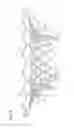 Fig. 28 - Transcatheter valve prosthesis