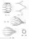 Fig. 09 - PERCUTANEOUS HEART VALVE DELIVERY SYSTEMS