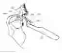 Fig. 01 - Implant delivery devices, systems, and methods