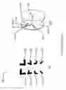 Fig. 06 - Ophthalmic devices incorporating metasurface elements