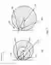 Fig. 08 - Ophthalmic devices incorporating metasurface elements