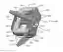 Fig. 01 - Expandable intervertebral implant