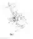 Fig. 02 - Adjustable lateral articulating condyle