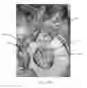Fig. 45 - Articulated commissure valve stents and methods