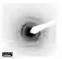 Fig. 01 - Implants with wear resistant coatings and methods