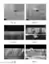Fig. 03 - Implants with wear resistant coatings and methods