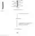Fig. 02 - Pepsinized collagen implants and biomedical uses thereof